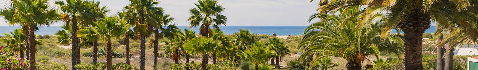 Primavera Reizen staat voor u klaar