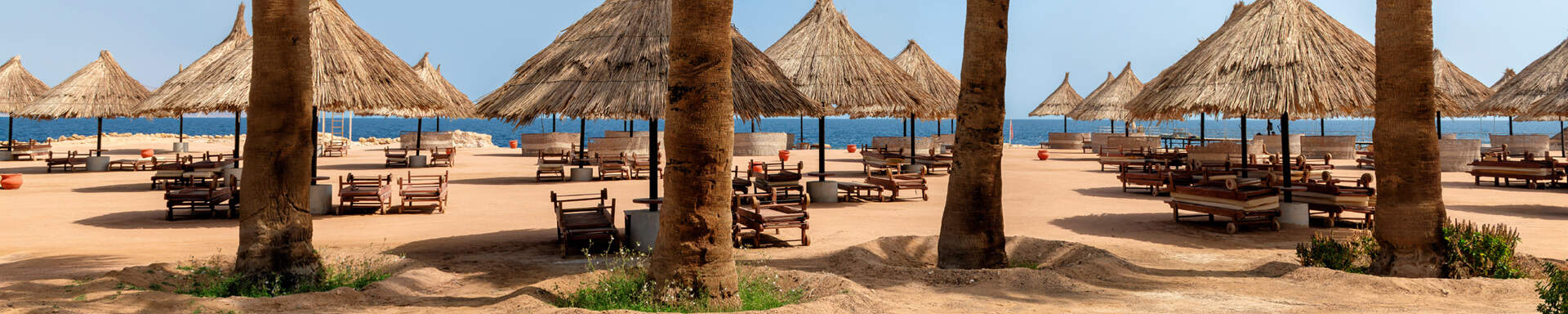 Plage avec palmiers et parasols, mer rouge, egypte