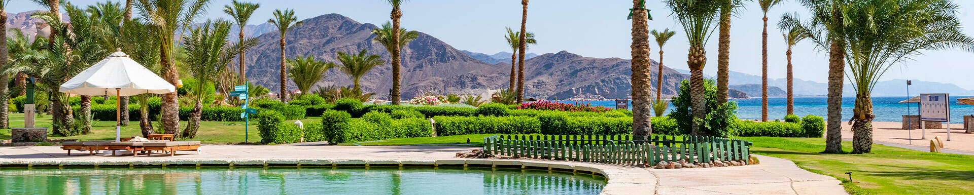 Piscine entourée de palmiers avec pour arrière plan, un paysage montagneux