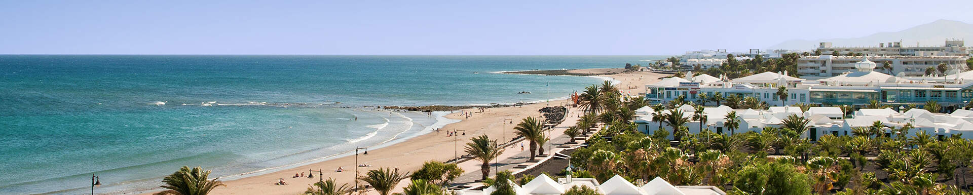 Vue du ciel : bungalows blancs et palmiers en bord de mer