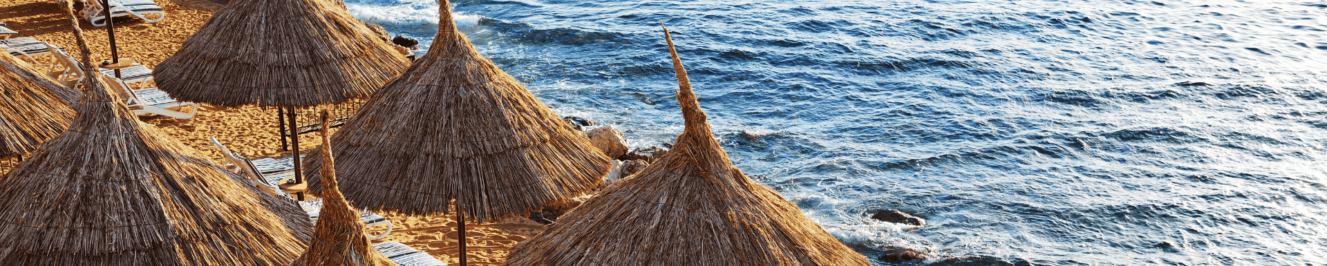 palmiers en bord de mer, Egypte