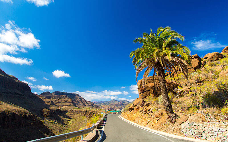 Route avec palmiers, Gran Canaria, Iles Canaries