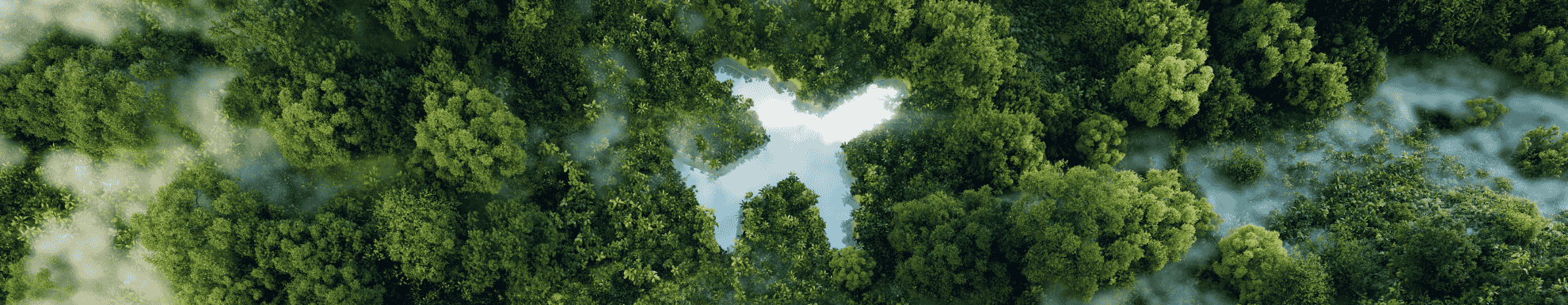 bos van bovenaf met wolken in de vorm van een vliegtuig