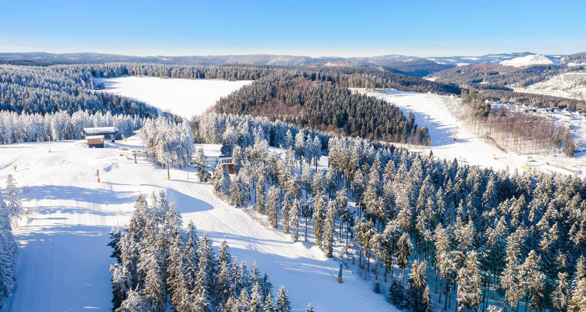 pistes sneeuw witte pistes bomen stoeltjeslift