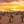Uitzicht over gouden zonsondergang Marsa Alam Egypte