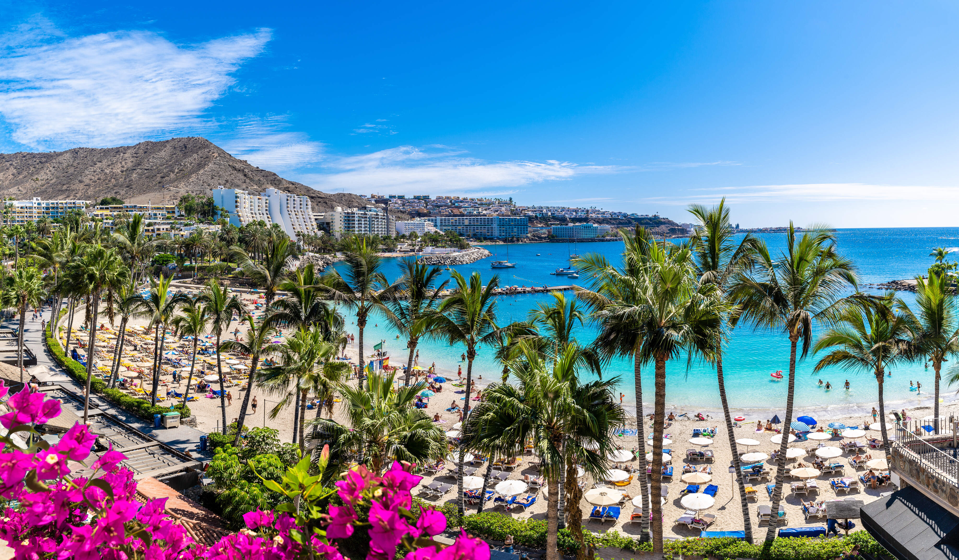 Palmbomen en roze bloemetjes langs het strand in Gran Canaria